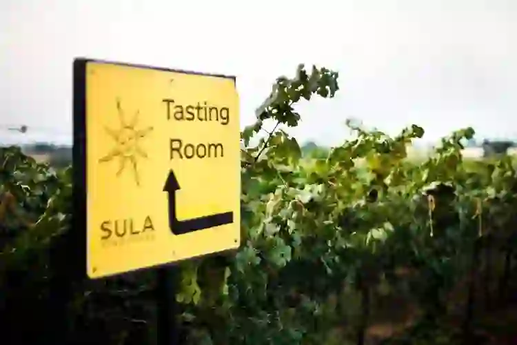 Wine Tasting in Nashik